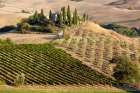 Italy-Tuscany Belvedere House-Olive trees-and vineyards near San Quirico dOrcia Art Print